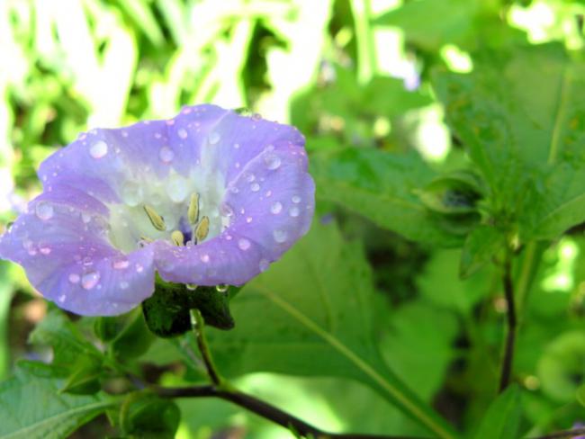 Name:  unuttum.jpg
Views: 868
Size:  35.8 KB