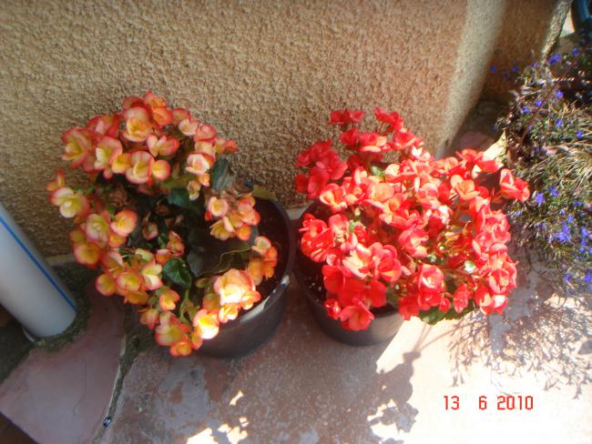 Name:  DSC00676.jpg
Views: 525
Size:  65.6 KB
