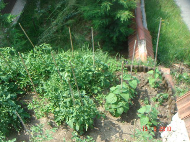 Name:  DSC00707.jpg
Views: 498
Size:  70.9 KB