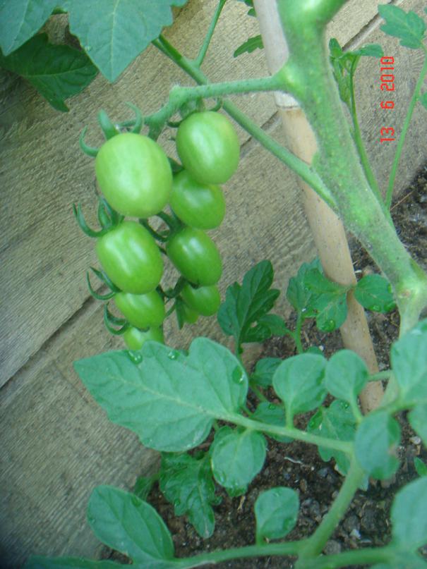 Name:  DSC00599.jpg
Views: 504
Size:  71.4 KB