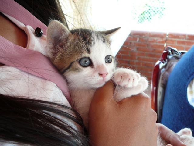 Name:  P1140055.jpg
Views: 1182
Size:  39.7 KB