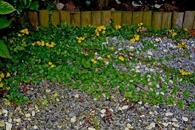 Name:  IMG_7041.jpg
Views: 952
Size:  34.9 KB