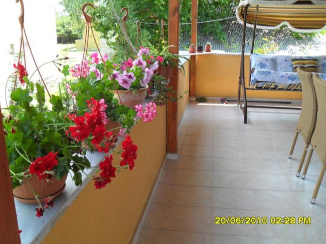 Name:  Resim 1250.jpg
Views: 784
Size:  57.6 KB