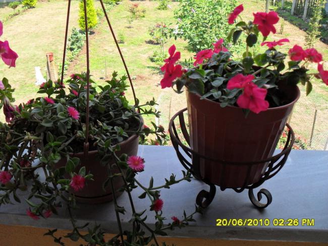 Name:  Resim 1247.jpg
Views: 813
Size:  66.5 KB