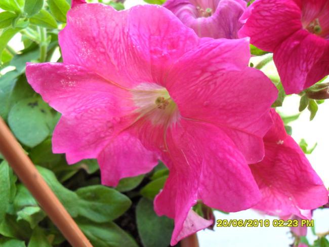Name:  Resim 1237.jpg
Views: 744
Size:  43.8 KB
