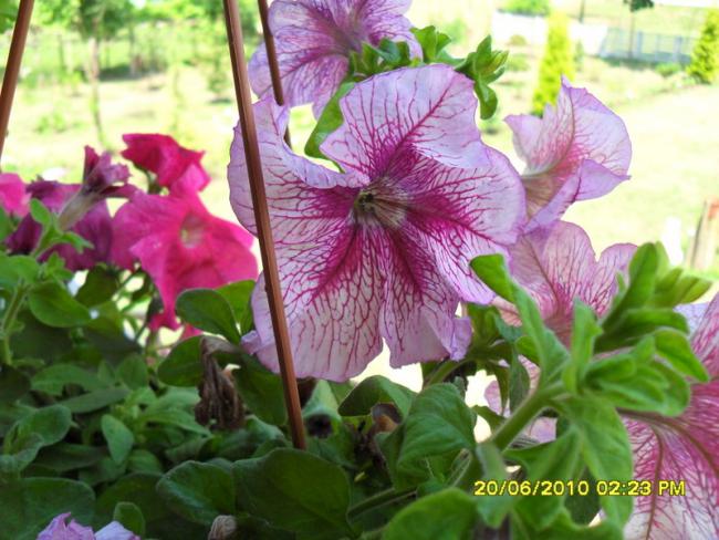 Name:  Resim 1236.jpg
Views: 743
Size:  56.6 KB