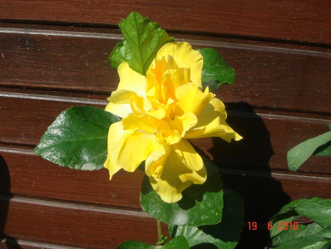 Name:  DSC00863.jpg
Views: 537
Size:  46.8 KB