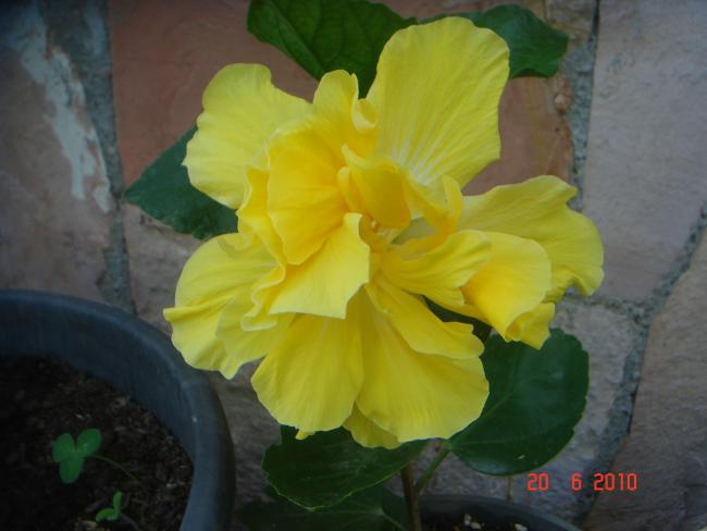 Name:  DSC01098.jpg
Views: 530
Size:  31.3 KB