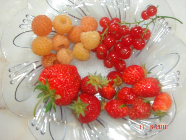 Name:  DSC00806.jpg
Views: 755
Size:  42.3 KB