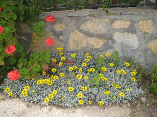 Name:  029.jpg
Views: 939
Size:  65.6 KB