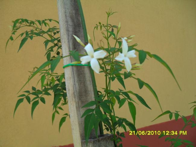 Name:  Resim 1304.jpg
Views: 719
Size:  37.5 KB