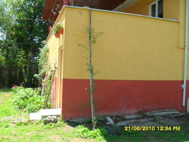 Name:  Resim 1305.jpg
Views: 715
Size:  51.6 KB
