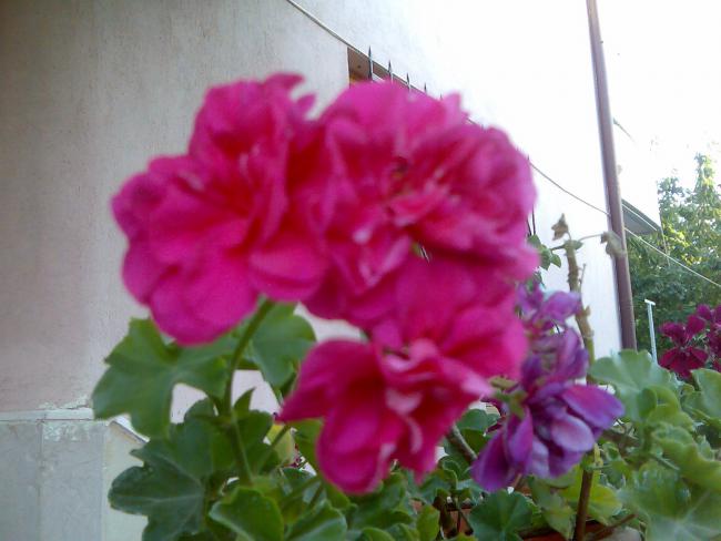 Name:  Grnt434.jpg
Views: 578
Size:  38.2 KB