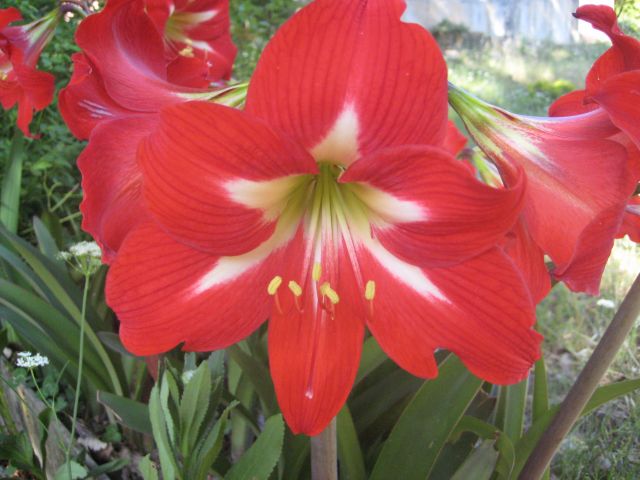 Name:  IMG_0708.jpg
Views: 945
Size:  59.8 KB