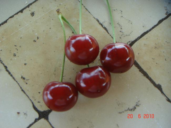 Name:  DSC01088.jpg
Views: 629
Size:  31.6 KB