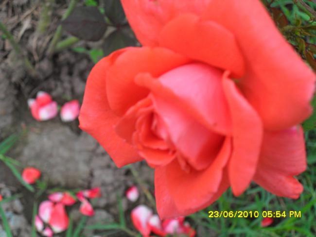 Name:  Resim 1317.jpg
Views: 748
Size:  31.8 KB