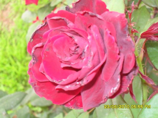 Name:  Resim 1320.jpg
Views: 729
Size:  41.4 KB