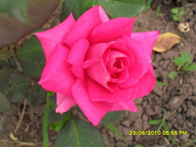 Name:  Resim 1322.jpg
Views: 835
Size:  36.4 KB