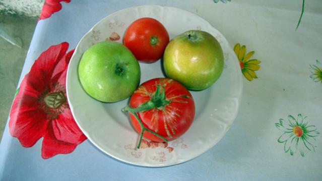 Name:  Bahem2010 047.jpg
Views: 532
Size:  27.8 KB