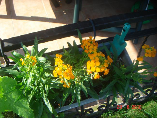 Name:  DSC01007.jpg
Views: 649
Size:  56.7 KB