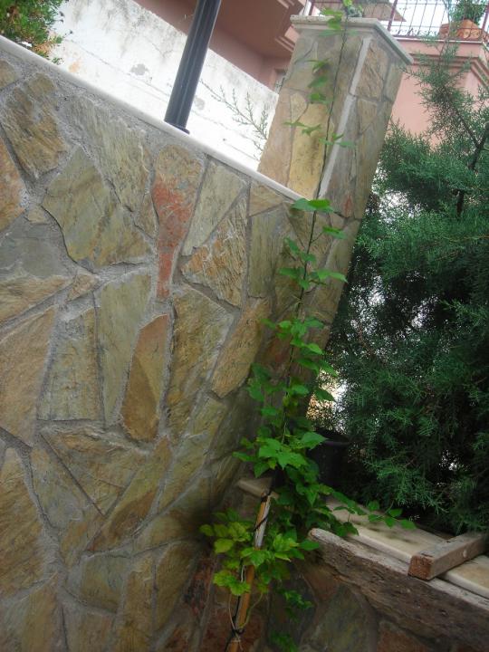 Name:  DSCN2268.jpg
Views: 742
Size:  71.0 KB