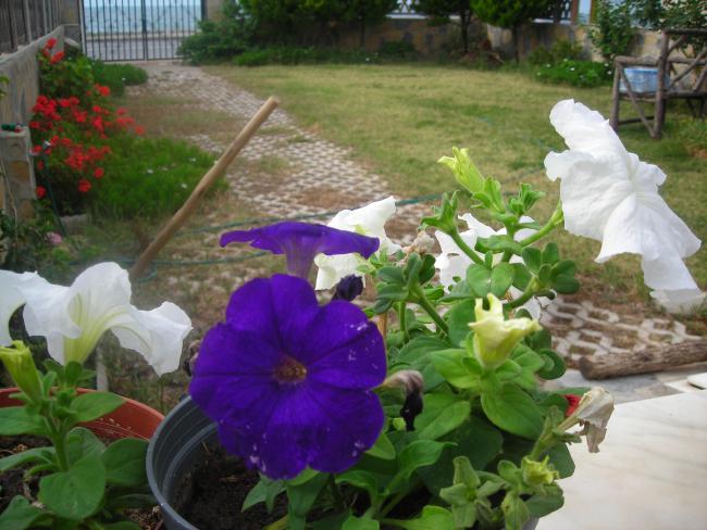 Name:  DSCN2083.jpg
Views: 707
Size:  52.7 KB