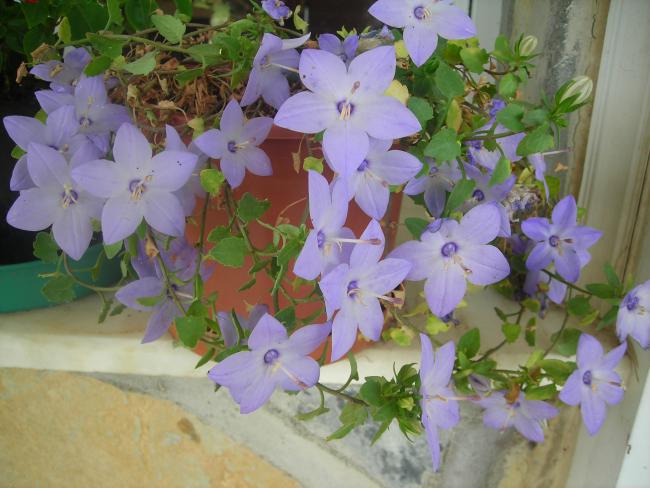 Name:  DSCN2344.jpg
Views: 703
Size:  48.5 KB