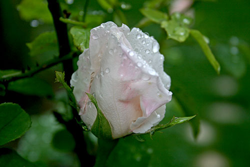 Name:  IMG_7058.JPG
Views: 1134
Size:  47.8 KB
