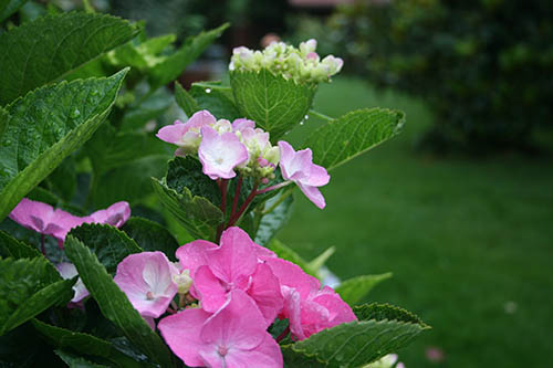 Name:  IMG_7068.JPG
Views: 1043
Size:  52.0 KB