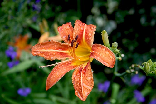 Name:  IMG_7074.JPG
Views: 1084
Size:  53.5 KB