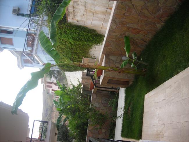 Name:  DSCN2317.jpg
Views: 700
Size:  47.6 KB