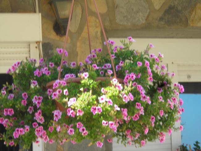Name:  DSCN2254.jpg
Views: 711
Size:  49.1 KB