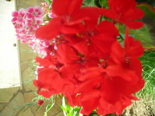 Name:  DSCN2016.jpg
Views: 654
Size:  38.3 KB