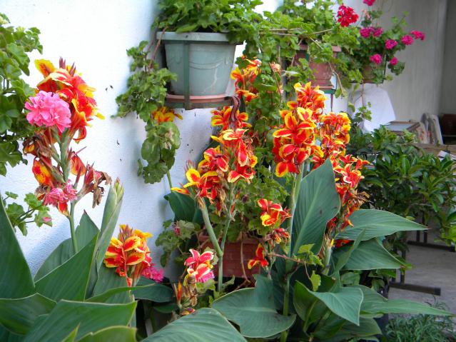 Name:  Resim 076.jpg
Views: 858
Size:  70.1 KB