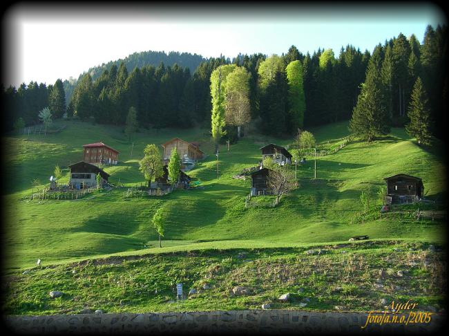 Name:  0094.jpg
Views: 1909
Size:  68.6 KB