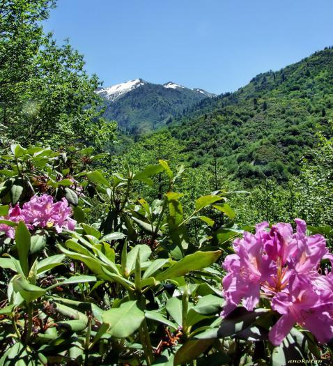 Name:  0303.jpg
Views: 1915
Size:  75.2 KB