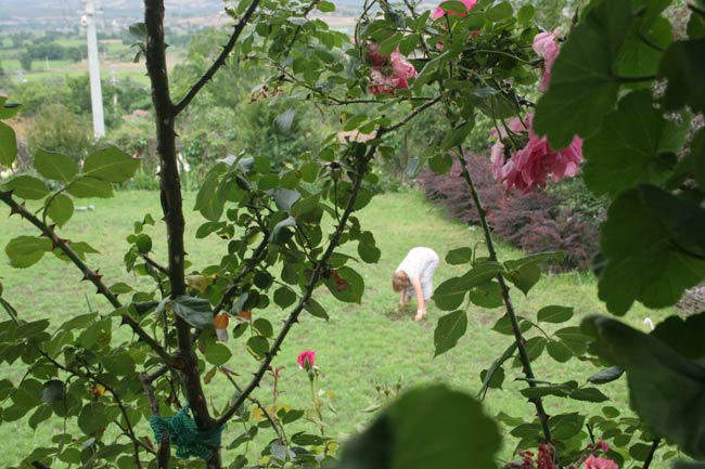 Name:  guler3.jpg
Views: 28615
Size:  61.9 KB