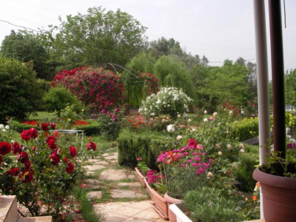 Name:  bahe res.M343 (600 x 450).jpg
Views: 29477
Size:  52.9 KB