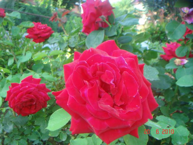 Name:  DSC00933.jpg
Views: 599
Size:  49.5 KB