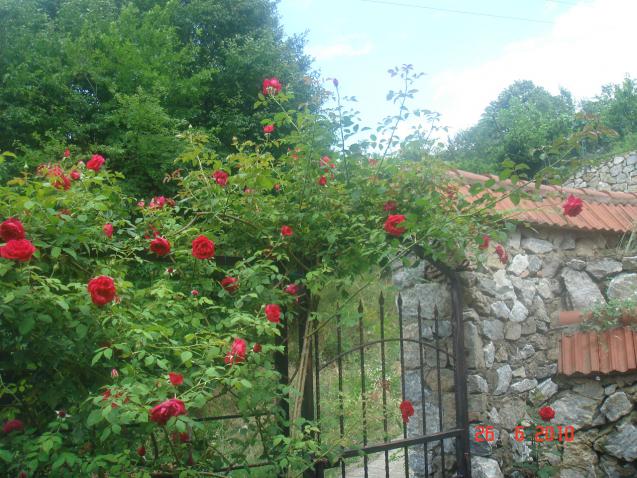 Name:  DSC01333.jpg
Views: 596
Size:  70.3 KB