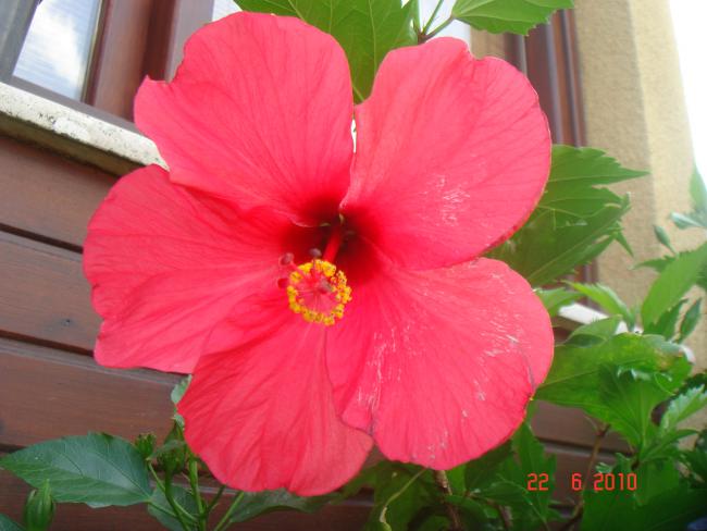 Name:  DSC01158.jpg
Views: 706
Size:  39.4 KB