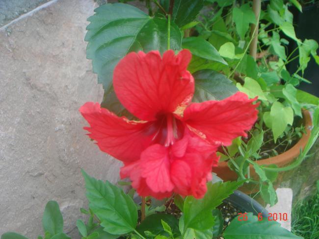 Name:  DSC01328.jpg
Views: 595
Size:  45.1 KB