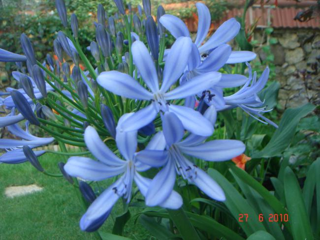 Name:  DSC01550.jpg
Views: 604
Size:  51.8 KB