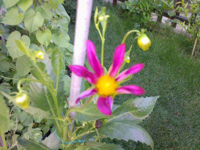 Name:  F  2009-0004.jpg
Views: 582
Size:  58.4 KB