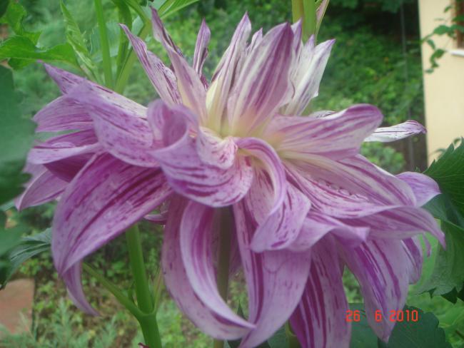 Name:  DSC01291.jpg
Views: 569
Size:  44.6 KB