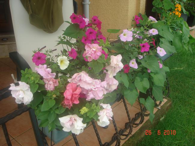 Name:  DSC01303.jpg
Views: 722
Size:  53.6 KB