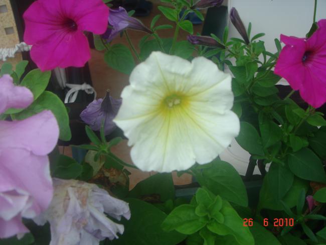 Name:  DSC01304.jpg
Views: 698
Size:  33.9 KB
