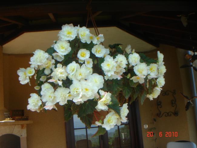 Name:  DSC01011.jpg
Views: 759
Size:  37.4 KB