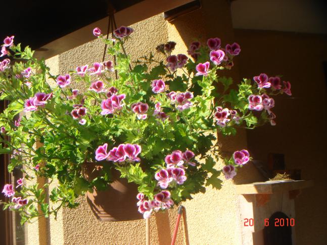 Name:  DSC01012.jpg
Views: 655
Size:  70.0 KB