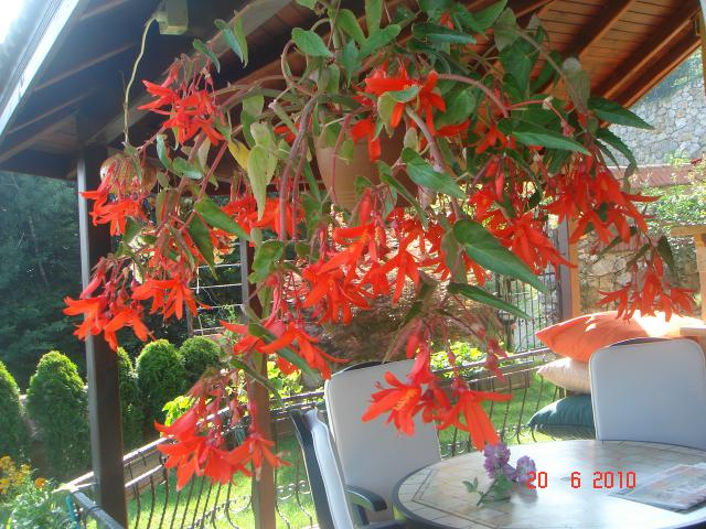 Name:  DSC01020.jpg
Views: 737
Size:  72.9 KB